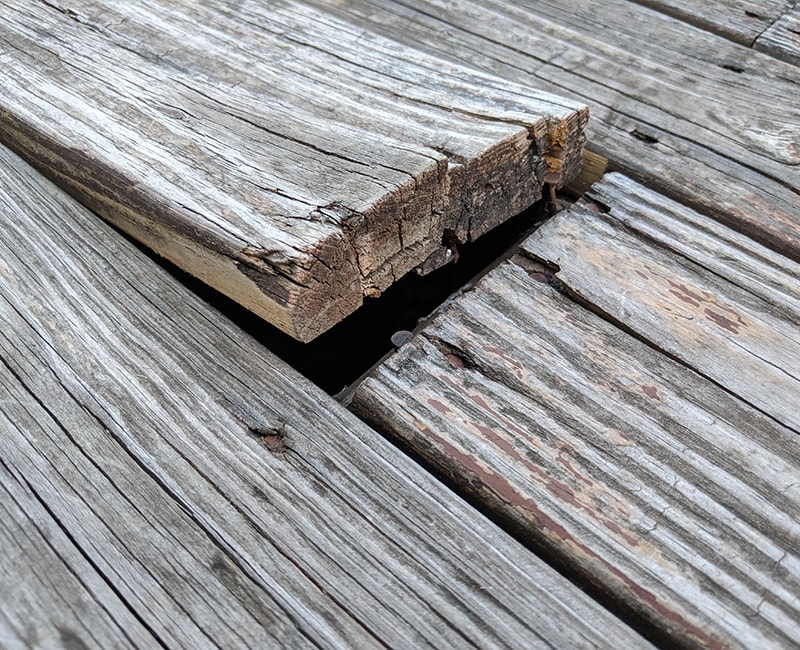 An edge of an old wood plank curls up above this deck floor.